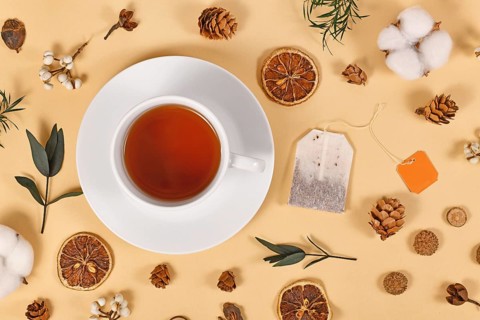 Tea cup surrounded by seasonal forest decoration on beige background