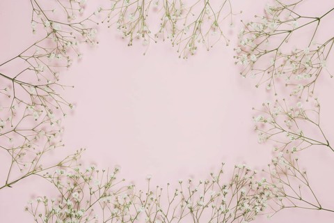 Frame made with gypsophila baby s breath flowers pink background