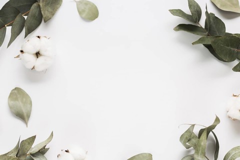 Top view frame leaves branches. Resolution and high quality beautiful photo