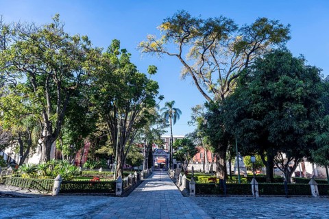 Cathedral of Cuernavaca