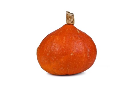 Single red Hokkaido Kuri squash on white background