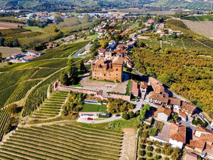 Aerials of the wineyards around Castle of Grinzane Cavour