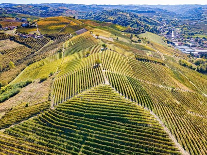 Aerials of the wineyards around Castle of Grinzane Cavour