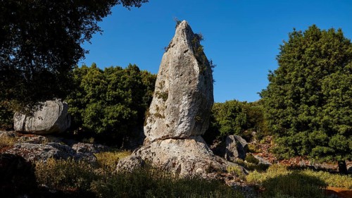 Monolith