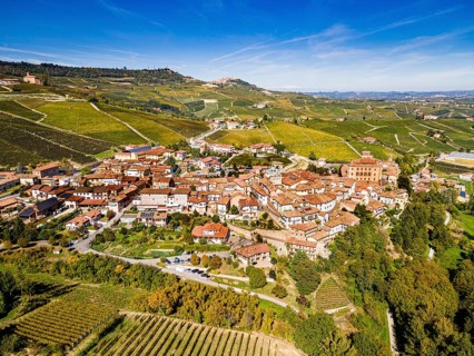 Aerials of the wineyards around Barolo
