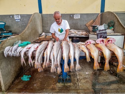 Fresh fish for sale