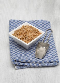 Original grain Kamut