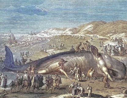 Dutch pamphlet depicting a beached whale