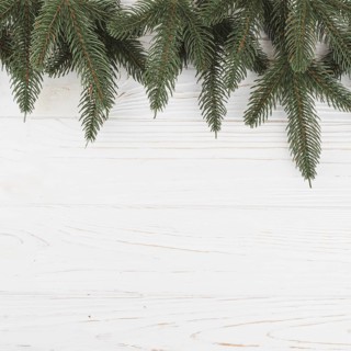 Green fir tree branches table