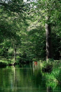 Spreewald in autumn