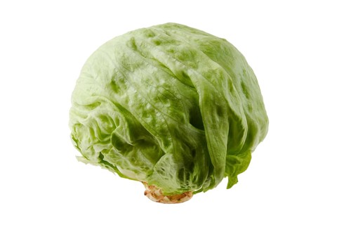 Fresh iceberg lettuce isolated on white background