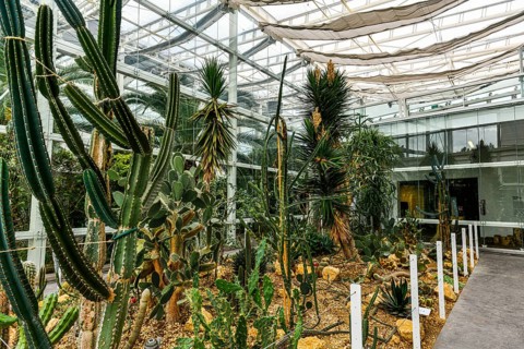Unesco world site Orto Botanico di Padova