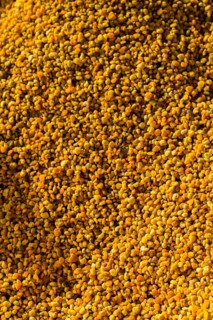 Bee pollen as healthy organic raw diet food ingredient