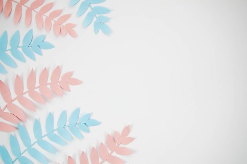 Grey copy space background with pink blue foliage