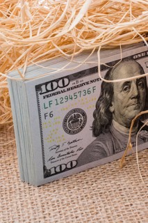 Banknote bundle of US dollar in a straw pile on canvas