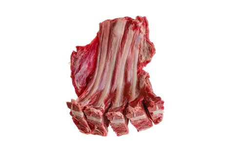 Raw fresh deer ribs isolated on white background