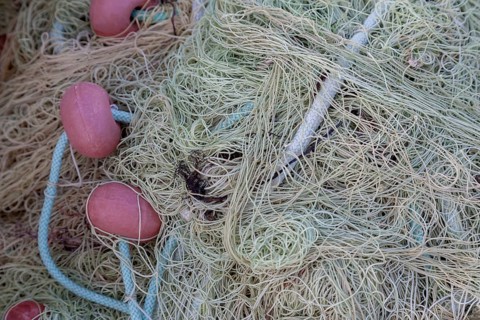Fishing nets