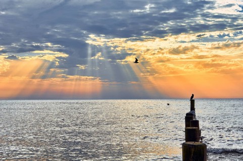Groynes in the morning light