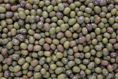 Mung bean