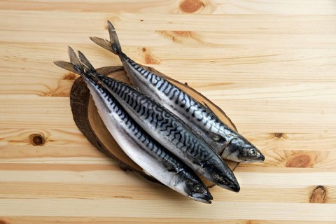 Frozen mackerel on wooden table