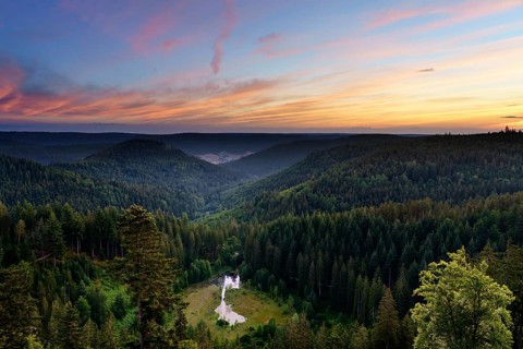 View from the Ellbachseeblick viewing platform
