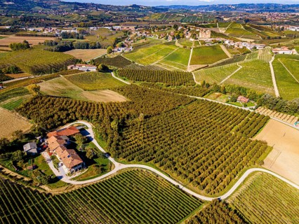Aerials of the wineyards around Castle of Grinzane Cavour