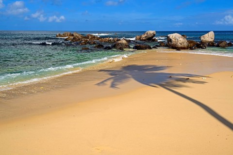 Dream beach Glacis Beach in the evening with shade of a coconut palm