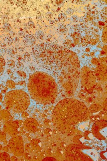 Air and oil bubbles inside water base form patterns