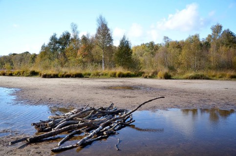 Nature reserve