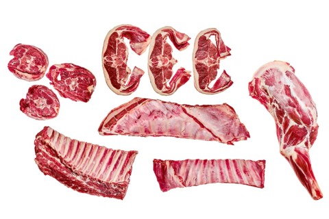 Fresh lamb cuts. Different parts of mutton meat isolated on white