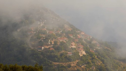 Exogi village