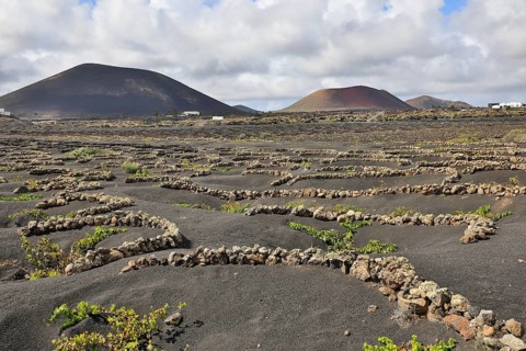 Wine-growing area in the volcanic landscape with a view of the volcanoes Monta Negra and Volcano Colorado Lanzarote