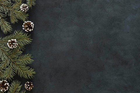 Chalkboard with pine needles cones