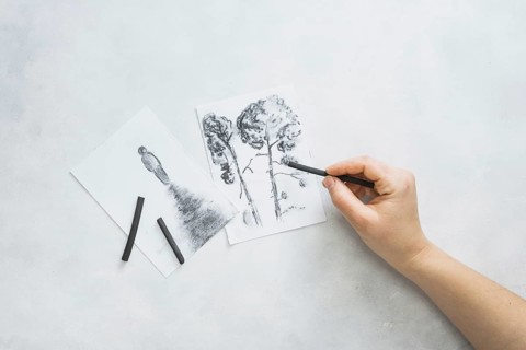 Person s hand sketching beautiful drawing with charcoal stick white surface