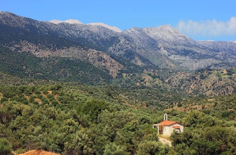 Small church surrounded by olive trees in the Levka Ori area