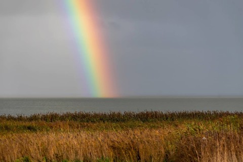 Rainbow over the Wadden Sea National Park
