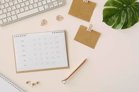 Flat lay desk calendar with monstera leaf