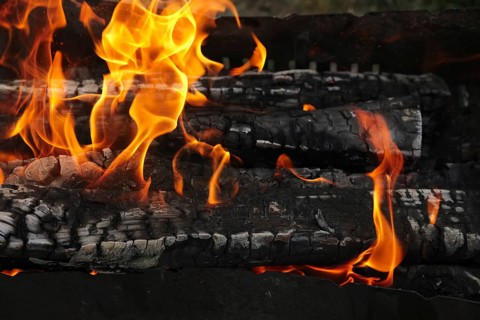 Close up view of burning firewood in the fire outdoor