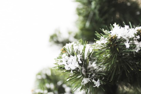 Fir tree with snowflakes twigs