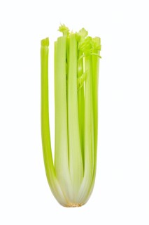Fresh raw celery isolated on white background
