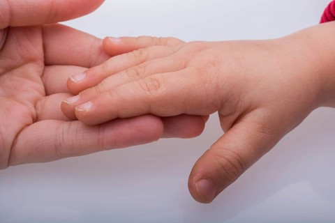Child and grown up hands together on a white backgkround