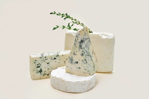 Various types of blue mold cheese