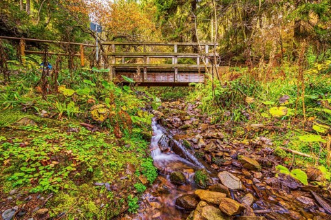Long exposure of a small stream in the Schoenjungferngrund in the Ore Mountains below the Fichtelberg