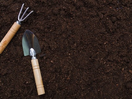 Top view gardening tools. Resolution and high quality beautiful photo