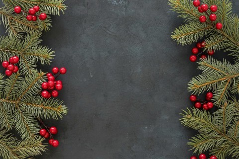 Top view pine needles mistletoe. Resolution and high quality beautiful photo