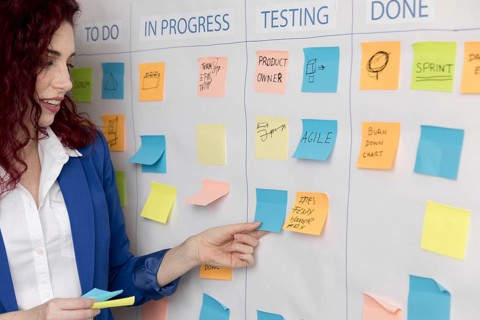 Woman presenting business plan. Resolution and high quality beautiful photo