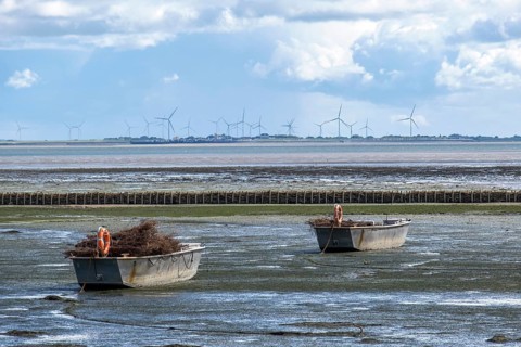 Boats with fascines