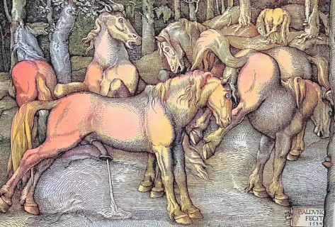 The Pissing Stallion