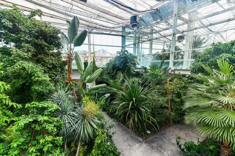 Unesco world site Orto Botanico di Padova