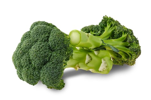 Fresh broccoli isolated on white background
